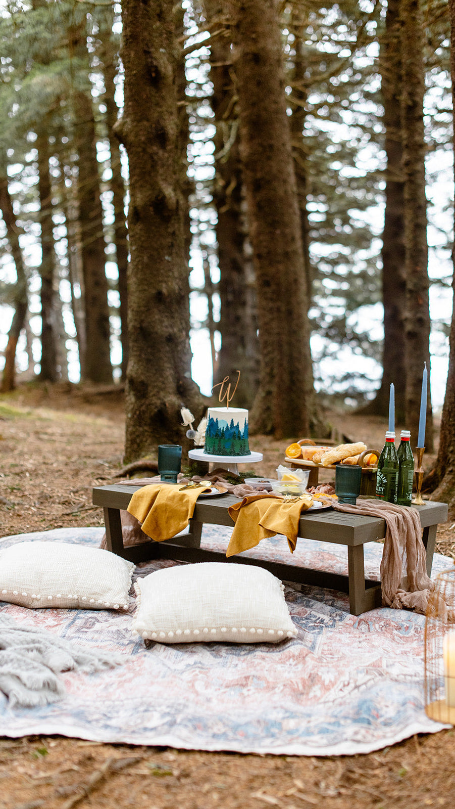 Picnic setup with food and drinks on a blanket in a forest.  asheville luxury picnics. pop-up picnic. picnic pop-up avl