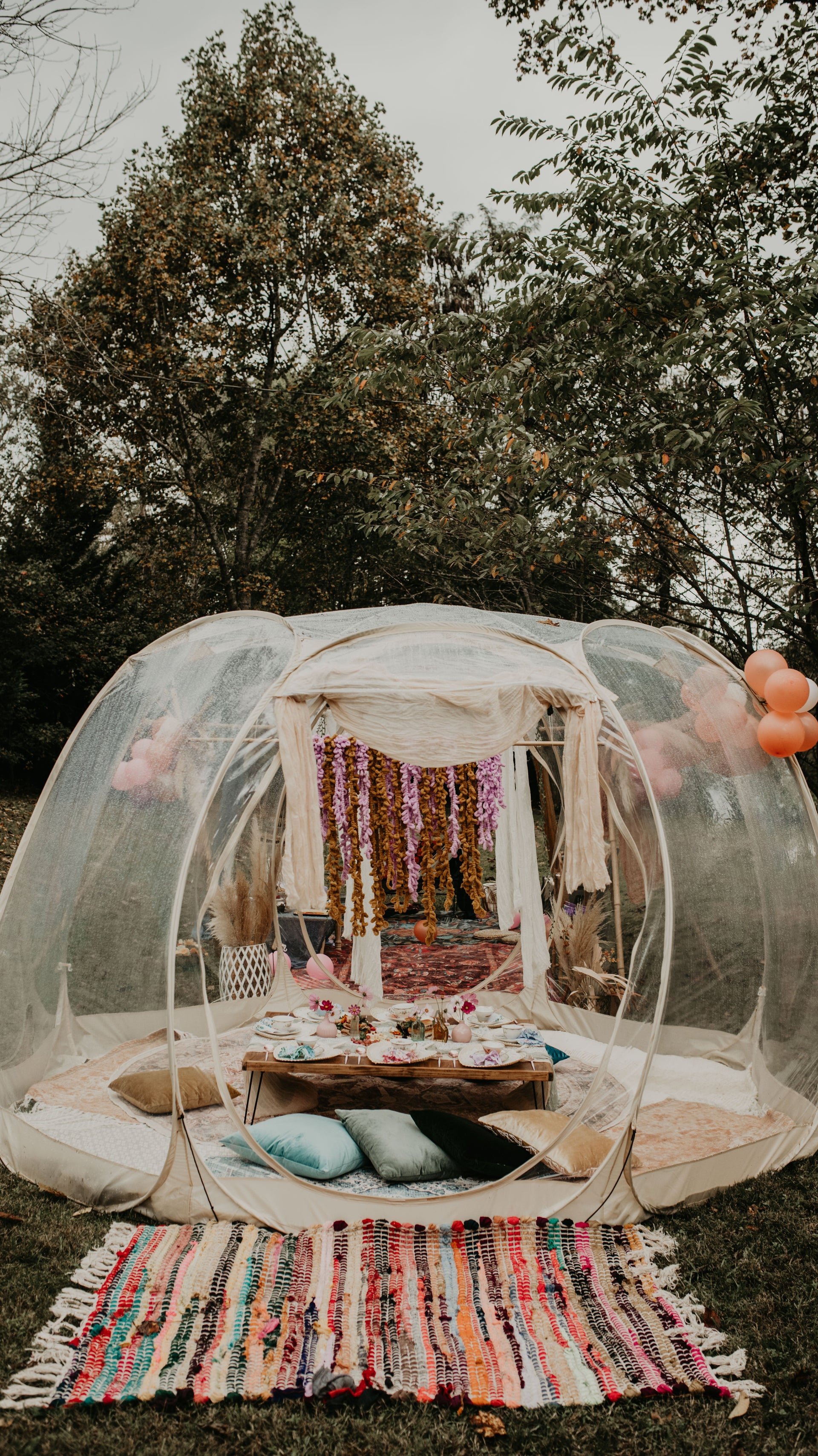 Outdoor setup with a transparent canopy, cushions, and a colorful rug on the ground.  asheville luxury picnics. pop-up picnic. picnic pop-up avl