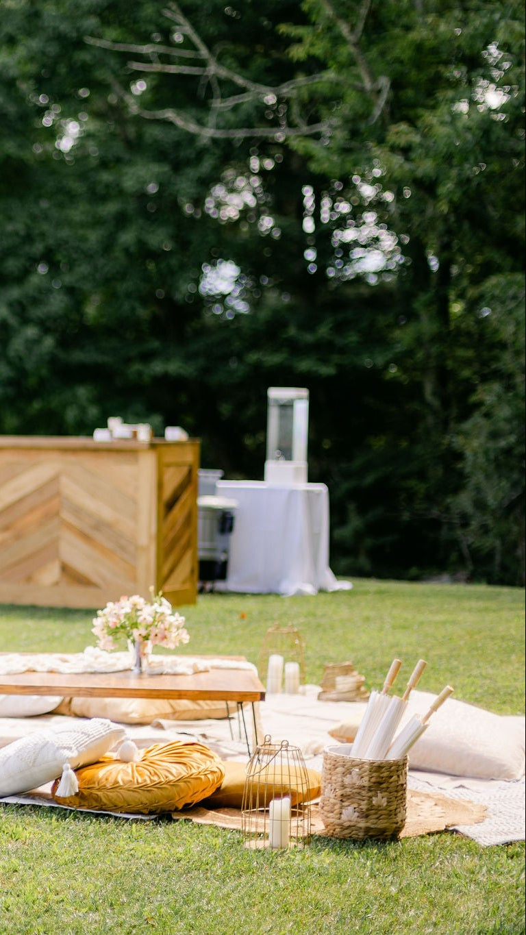 Asheville Luxury Picnics picnic pop up avl